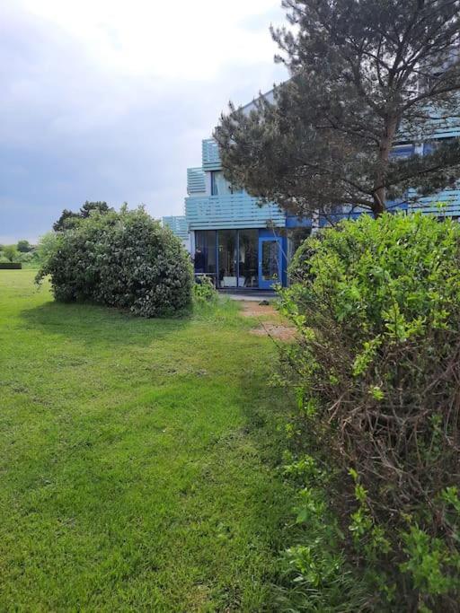 Erdgeschoss-Wohnung Nahe Am Meer Cadzand Extérieur photo